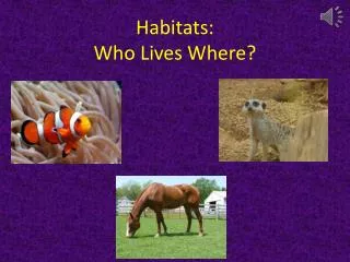 Habitats: Who Lives Where?