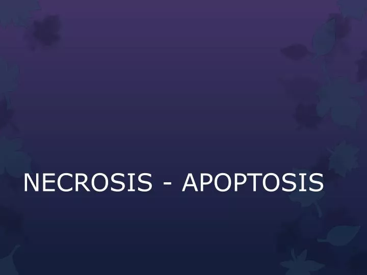 necrosis apoptosis