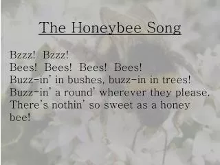 The Honeybee Song Bzzz ! Bzzz ! Bees! Bees! Bees! Bees!