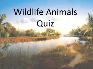 Wildlife Animals Quiz