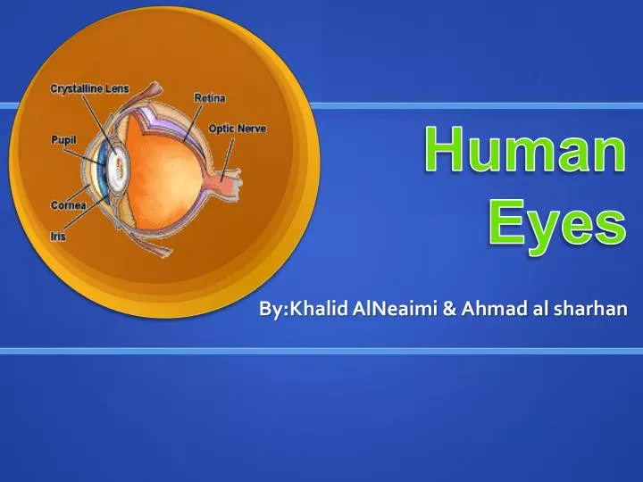 human eyes