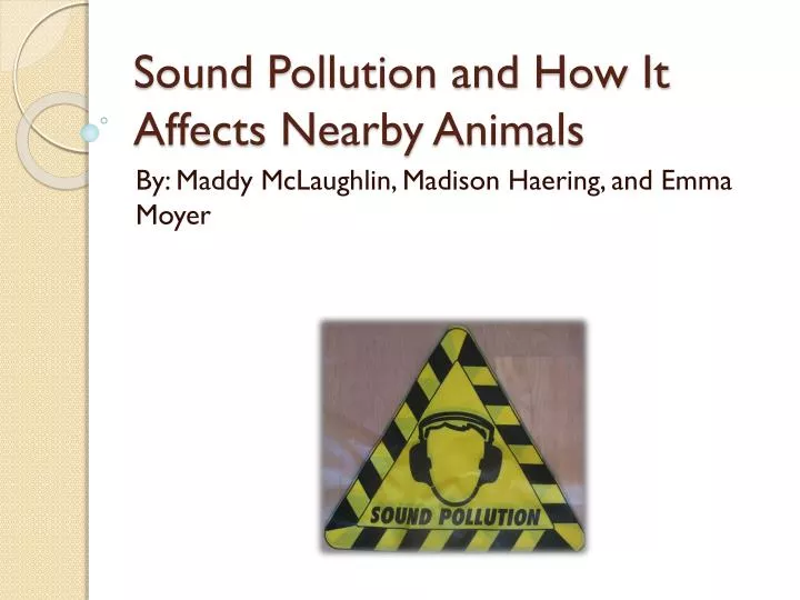 sound pollution and how it a ffects n earby animals