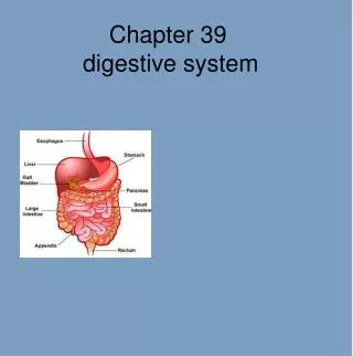 Chapter 39 digestive system