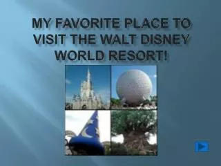 My Favorite place to visit The Walt Disney world resort!