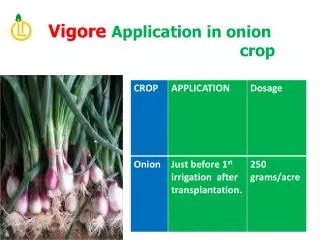 Vigore Application in onion crop