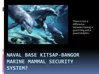 Naval base Kitsap- bangor marine mammal security system?