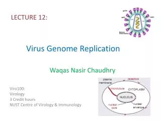 Virus Genome Replication