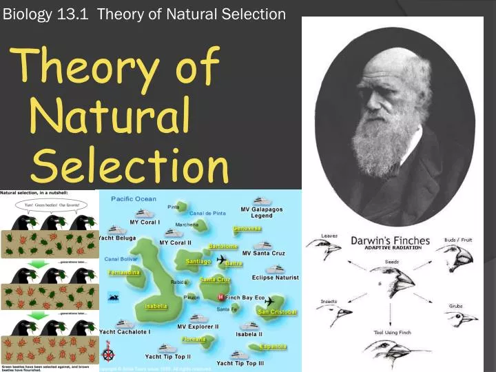 biology 13 1 theory of natural selection