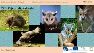 29 1 vejcorod va natci