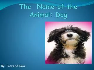 the name of the animal dog