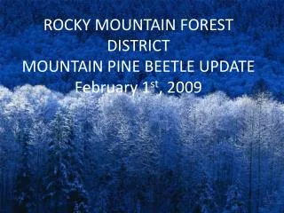 ROCKY MOUNTAIN FOREST DISTRICT MOUNTAIN PINE BEETLE UPDATE February 1 st , 2009