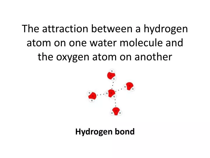 the attraction between a hydrogen atom on one water molecule and the oxygen atom on another