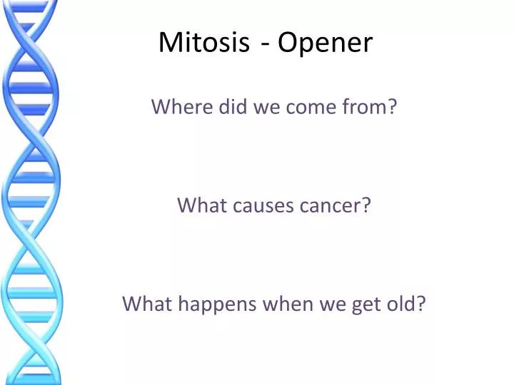mitosis opener
