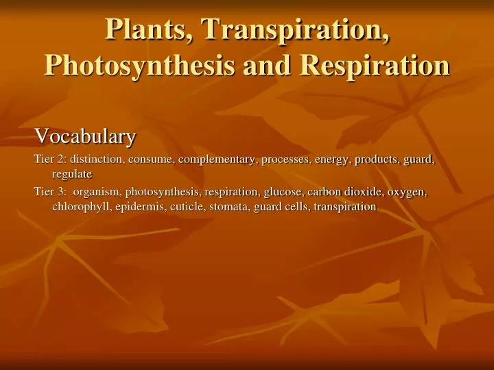 plants transpiration photosynthesis and respiration
