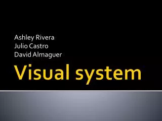 Visual system