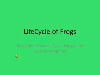 LifeCycle of Frogs