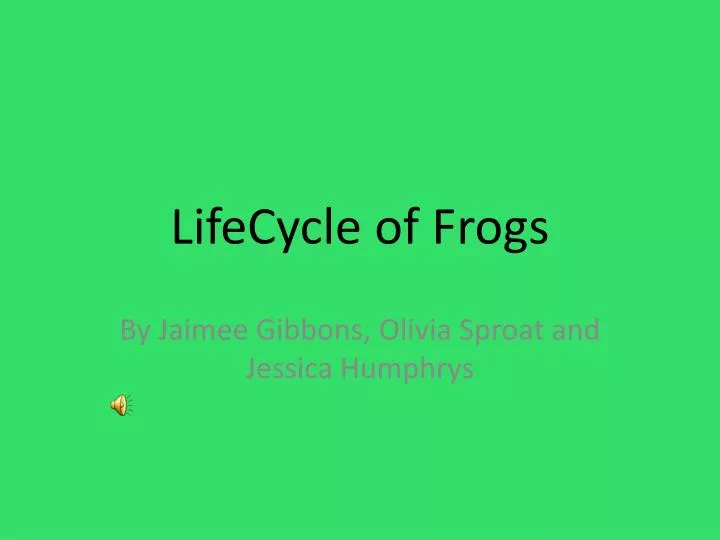 lifecycle of frogs