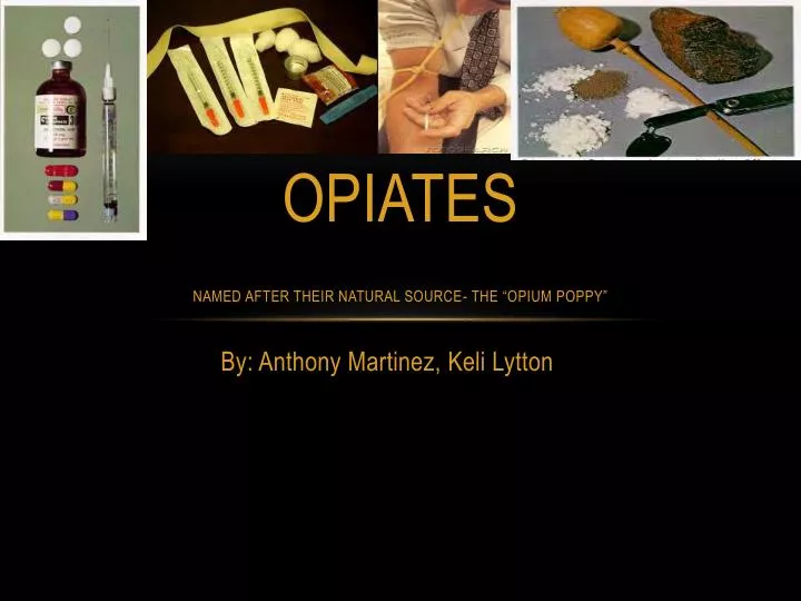 opiates named after their natural source the opium poppy