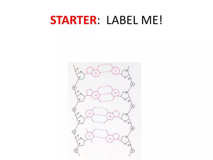 starter label me