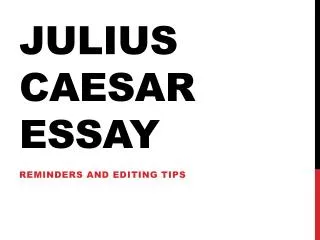 Julius Caesar Essay