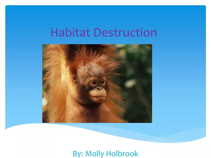 habitat destruction