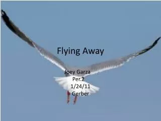 Flying Away