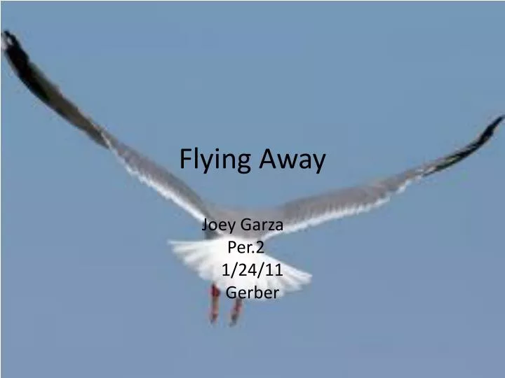 flying away