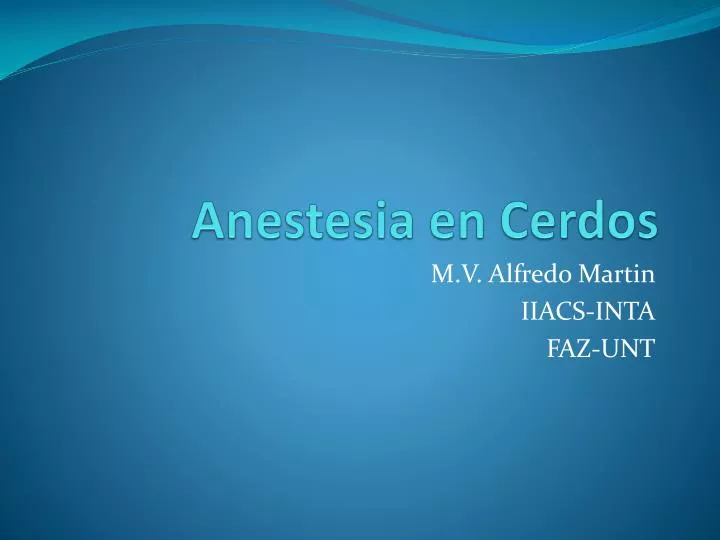 anestesia en cerdos