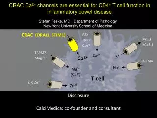 CRAC (ORAI1, STIM1)