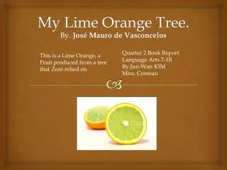 My Lime Orange Tree.