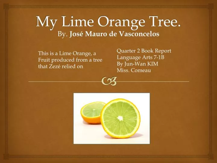 my lime orange tree