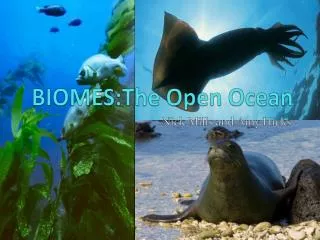 BIOMES:The Open Ocean