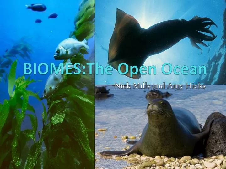 biomes the open ocean