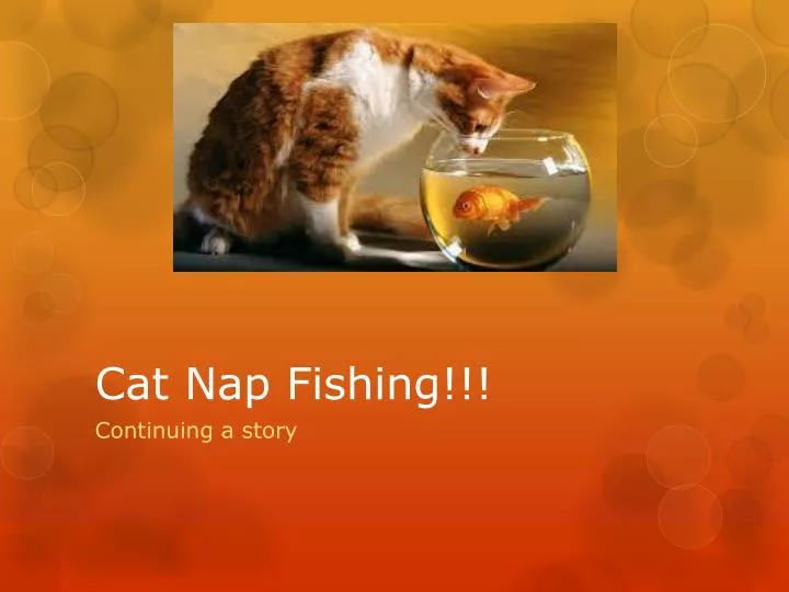 cat nap fishing