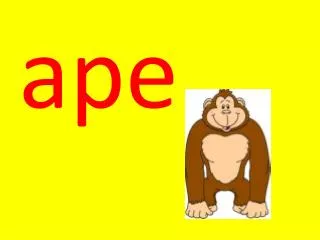 ape