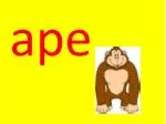 ape