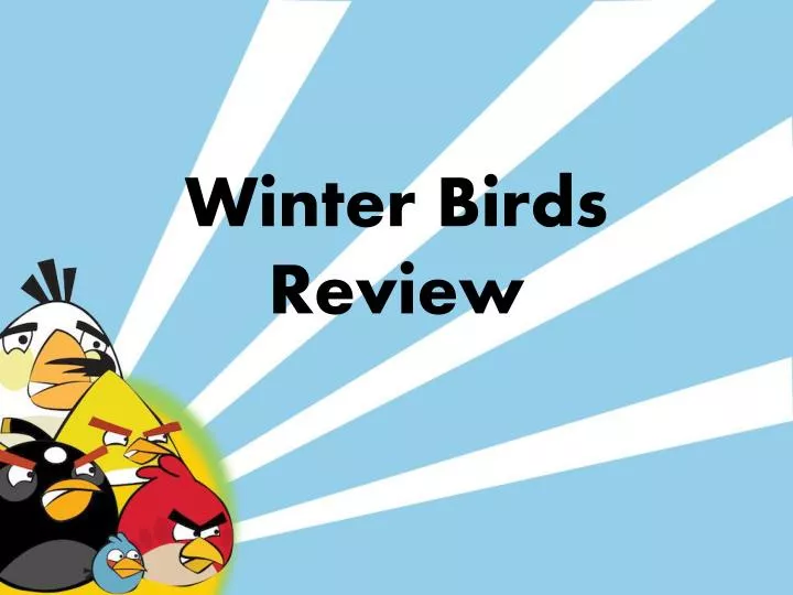 winter birds review