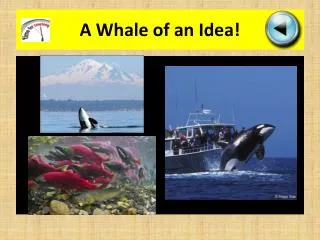 A Whale of an Idea !