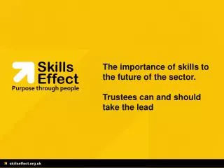 The importance of skills to the future of the sector. Trustees can and should take the lead