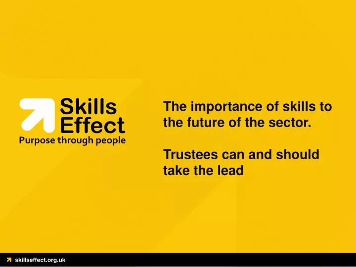 the importance of skills to the future of the sector trustees can and should take the lead