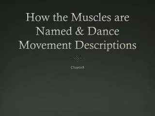 How the Muscles are Named &amp; Dance Movement Descriptions