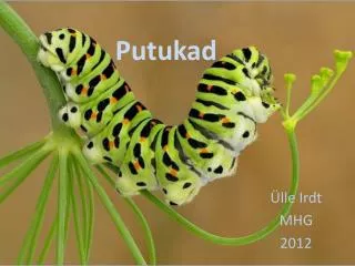 putukad
