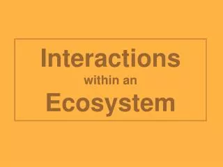 Interactions within an Ecosystem