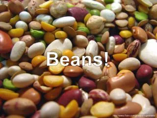 Beans!