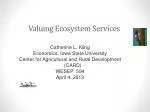 Valuing Ecosystem Services - slide 1