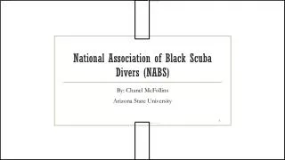 National Association of Black Scuba Divers (NABS)
