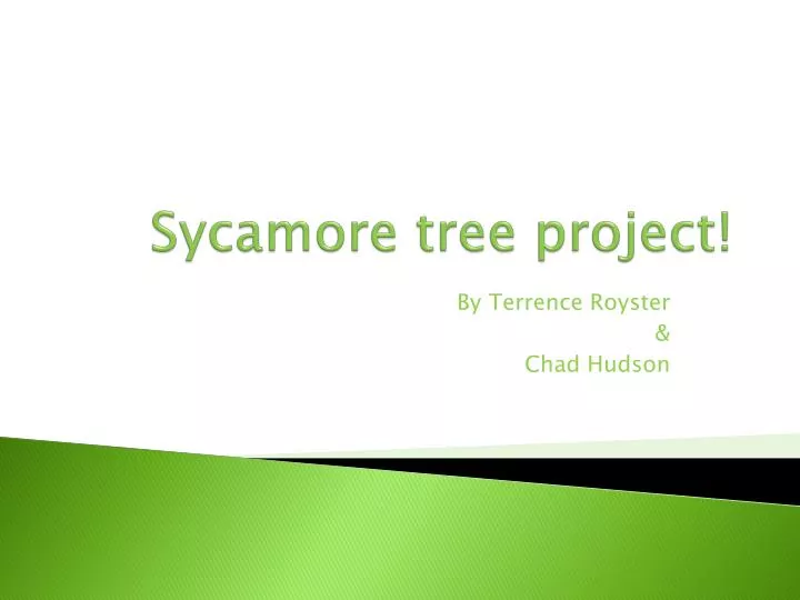 sycamore tree project