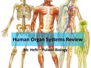 Human Organ Systems Review