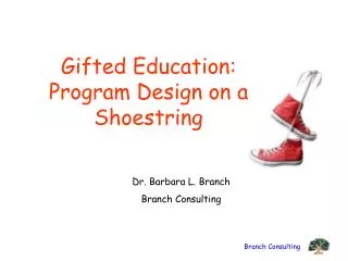 Gifted Education: Program Design on a Shoestring