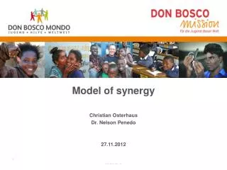 Model of synergy Christian Osterhaus Dr. Nelson Penedo 27.11.2012